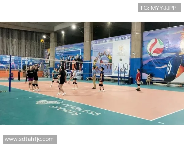 广州排球队迎来速度革命引发热议与关注