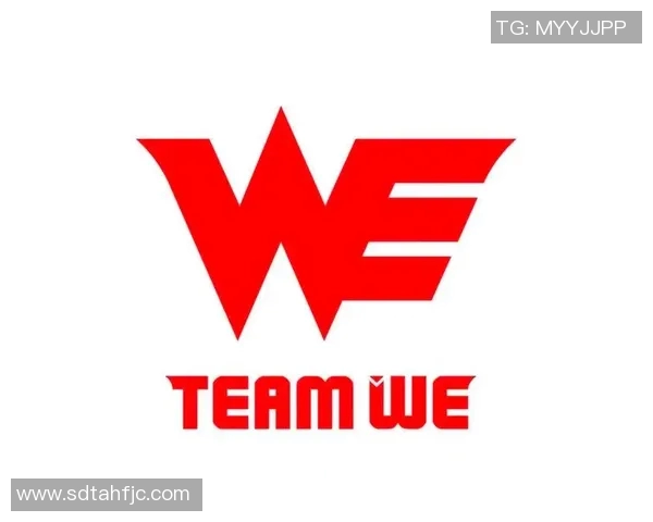 WE战队的辉煌历程与冠军杯之路的成长启示 WE战队的辉煌历程与冠军杯之路的成长启示