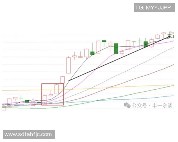 LNG在Major赛中的技术表现分析与战术解读 LNG在Major赛中的技术表现分析与战术解读