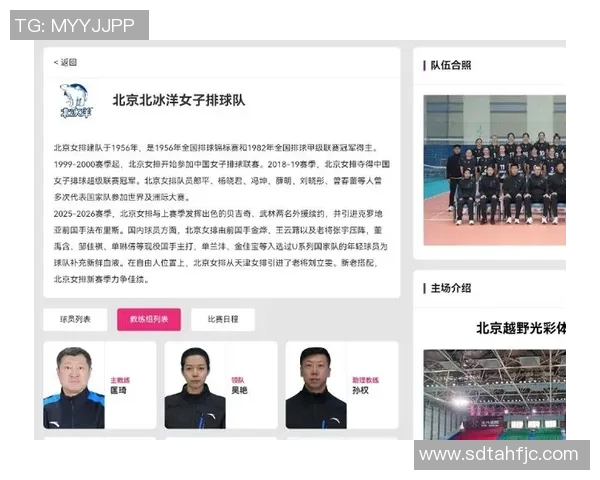 北京排球队个人能力分析与联赛表现评估